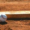 PITCHER’S PLATE PROFESIONAL 4 CARAS
